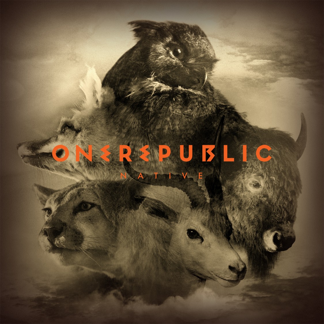 One Republic, Native, CD