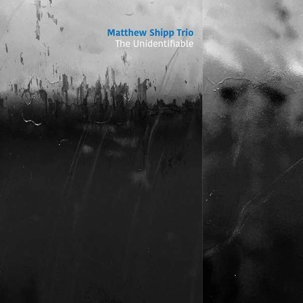 SHIPP, MATTHEW -TRIO- - UNIDENTIFIABLE, CD