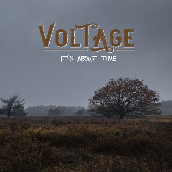 VOLTAGE - IT\'S ABOUT TIME, Vinyl