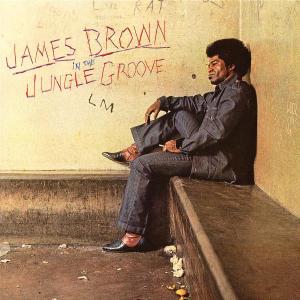 BROWN JAMES - IN THE JUNGLE GROOVE, CD