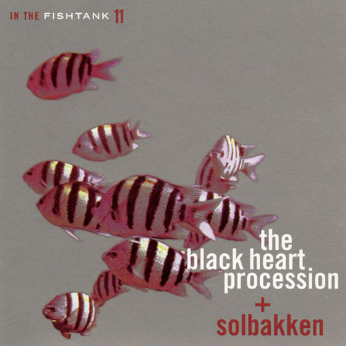 BLACK HEART PROCESSION/SO - IN THE FISHTANK, Vinyl