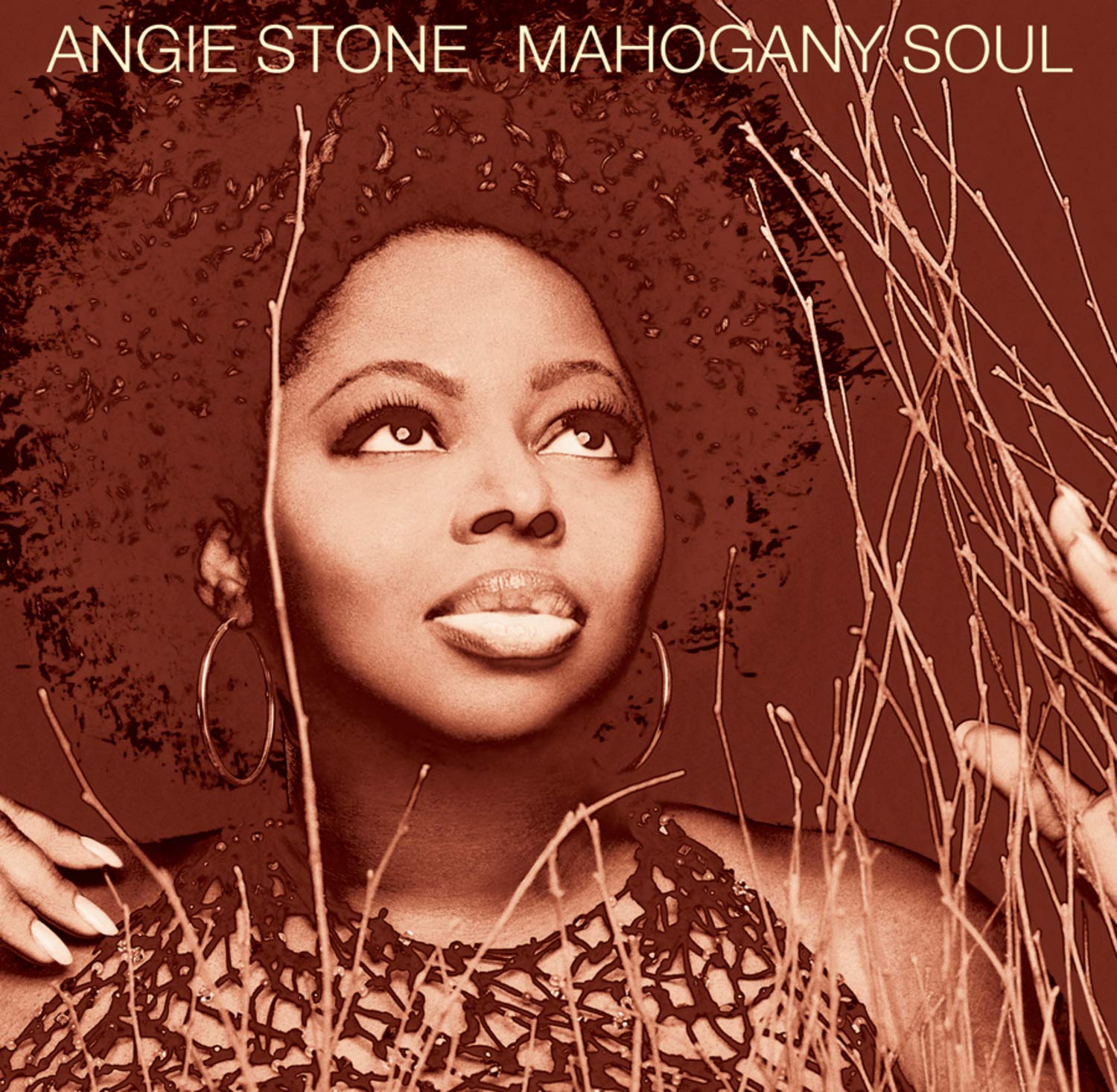 Angie Stone, MAHOGANY SOUL, CD