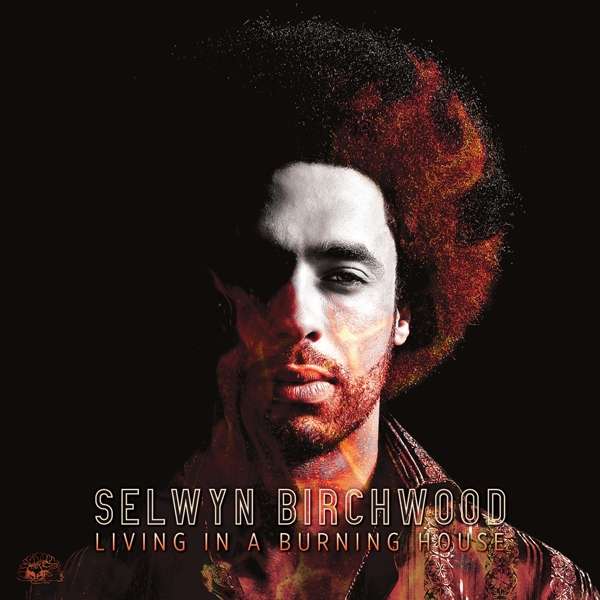 BIRCHWOOD, SELWYN - LIVING IN A BURNING HOUSE, Vinyl