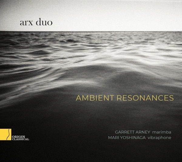 E-shop ARX DUO - AMBIENT RESONANCES CD