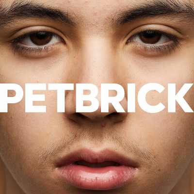 PETBRICK - I, Vinyl