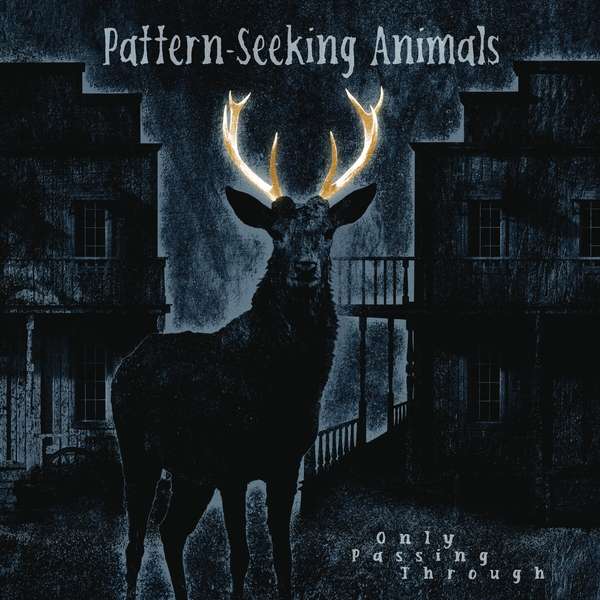 Pattern-Seeking Animals - Only Passing Through, Vinyl