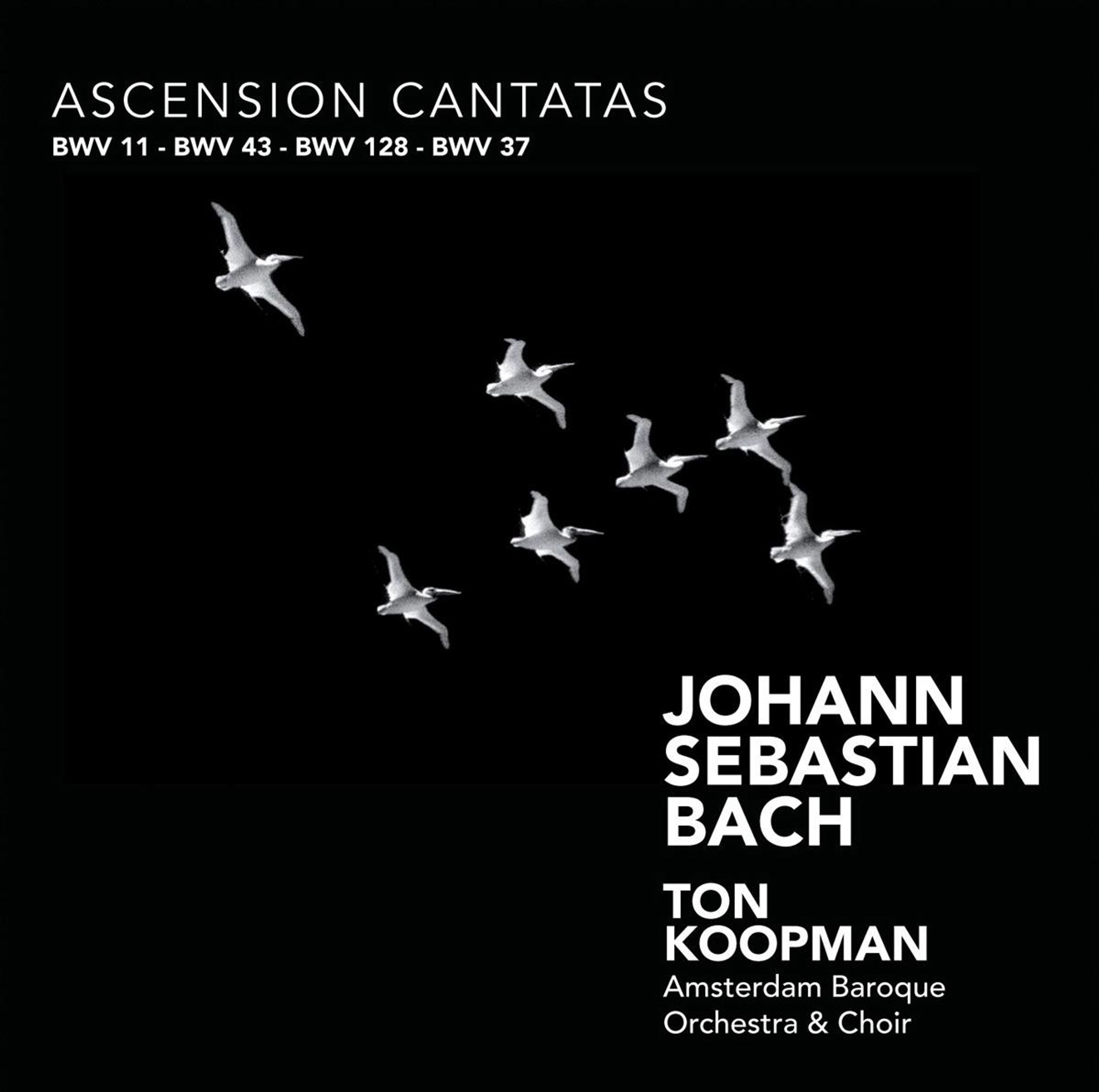 E-shop BACH: ASCENSION CANTATAS