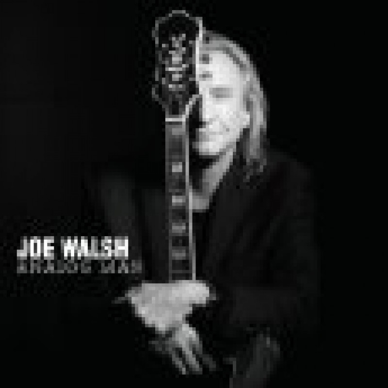 WALSH JOE - ANALOG MAN, CD
