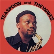 E-shop TEASPOON AND THE WAVES - Teaspoon And The Waves LP