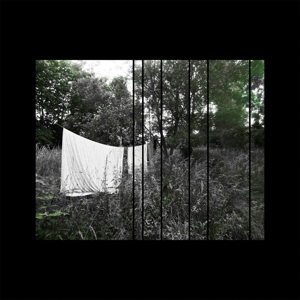 E-shop Acoustic LP