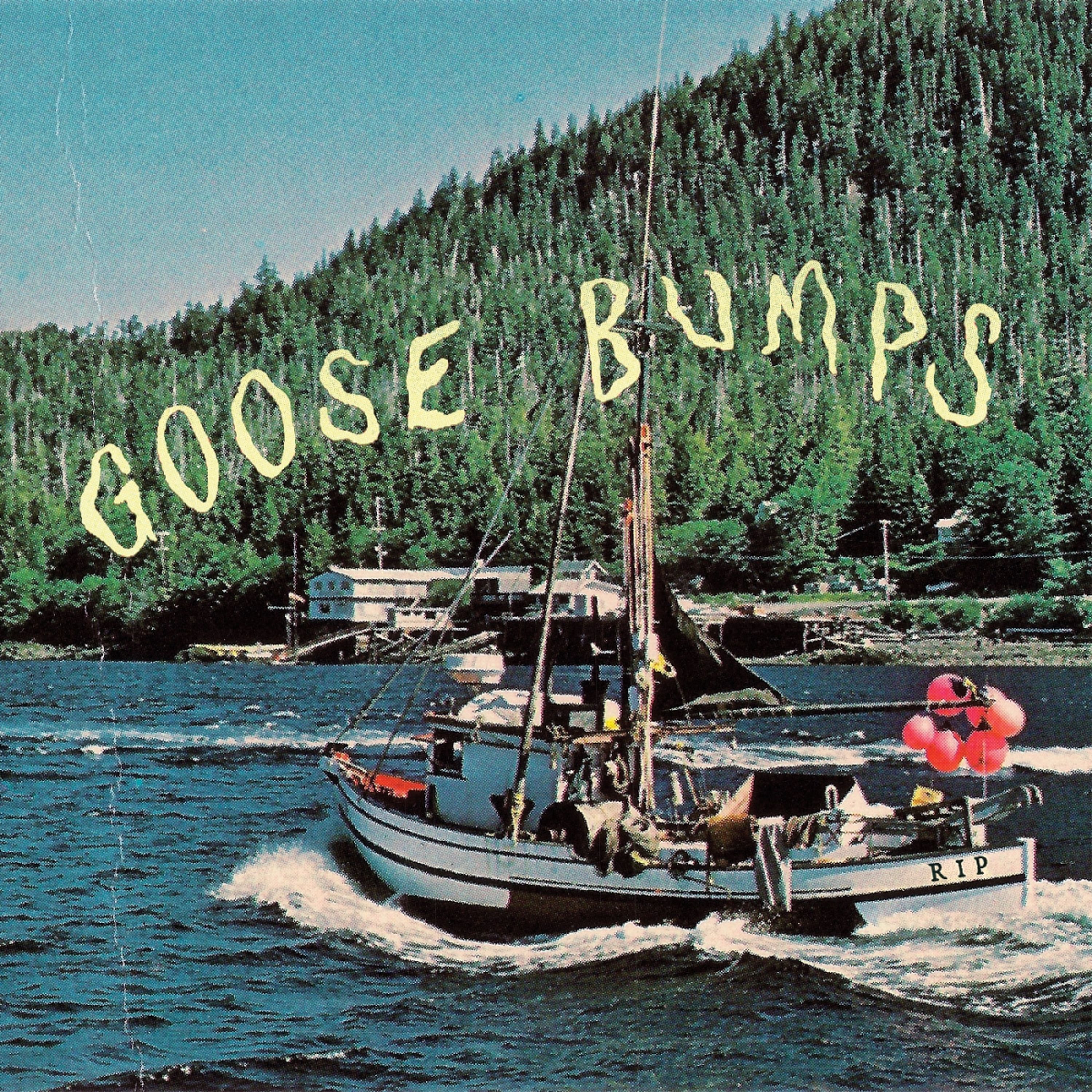 E-shop GOOSE BUMPS