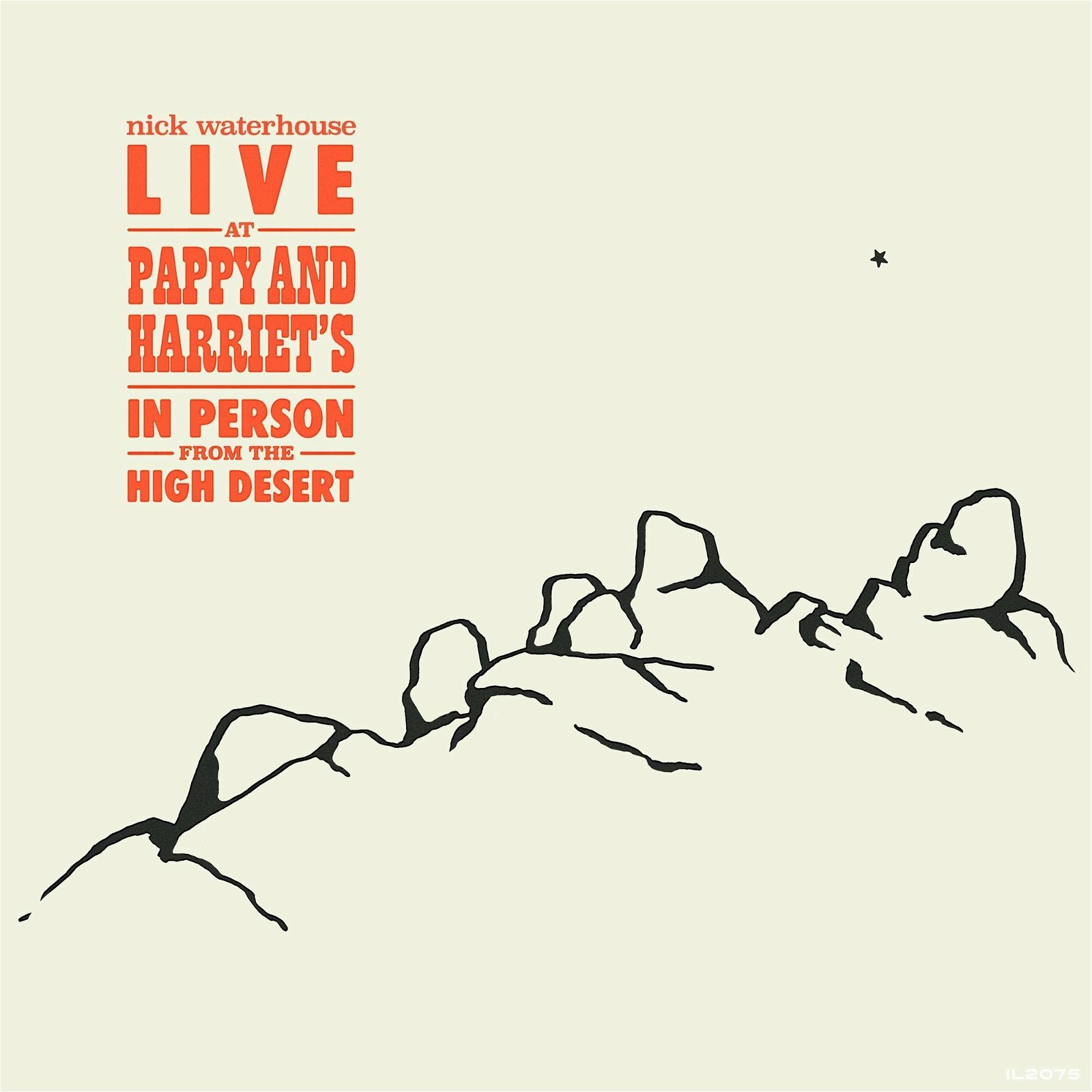 WATERHOUSE, NICK - LIVE AT PAPPY & HARRIET\'S: IN PERSON FROM THE HIGH DESERT, Vinyl