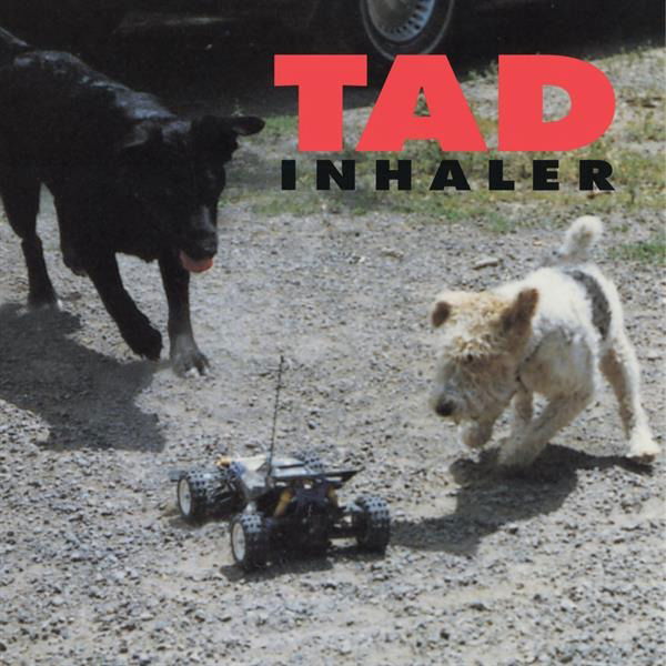 E-shop Tad: Inhaler LP