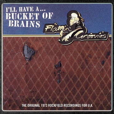 FLAMIN\' GROOVIES, THE - RSD - A BUCKET OF BRAINS, Vinyl