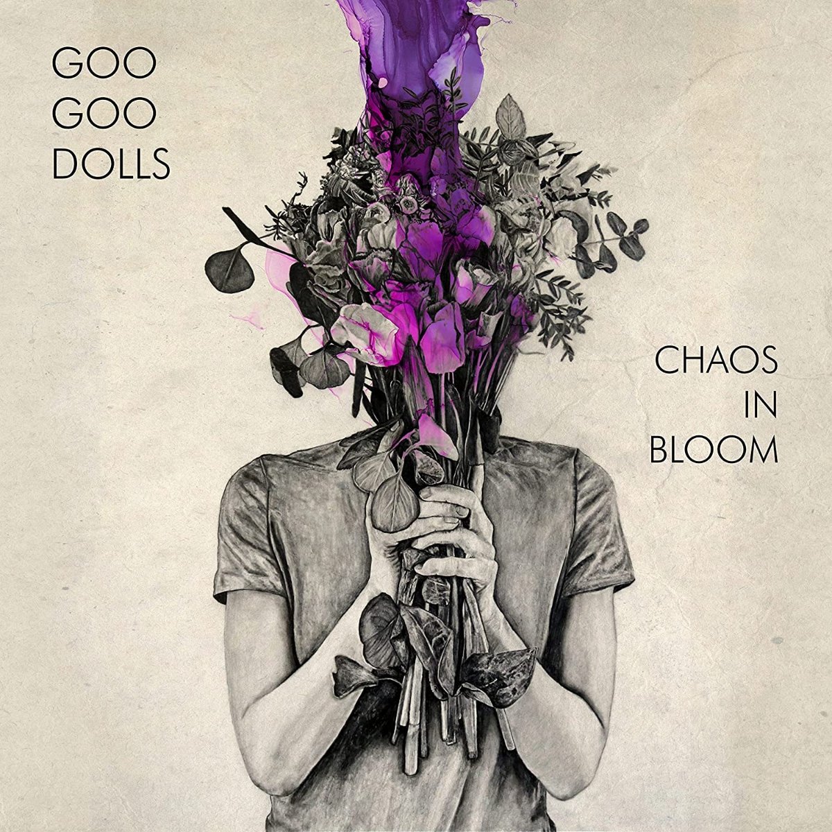 GOO GOO DOLLS, THE - CHAOS IN BLOOM, CD