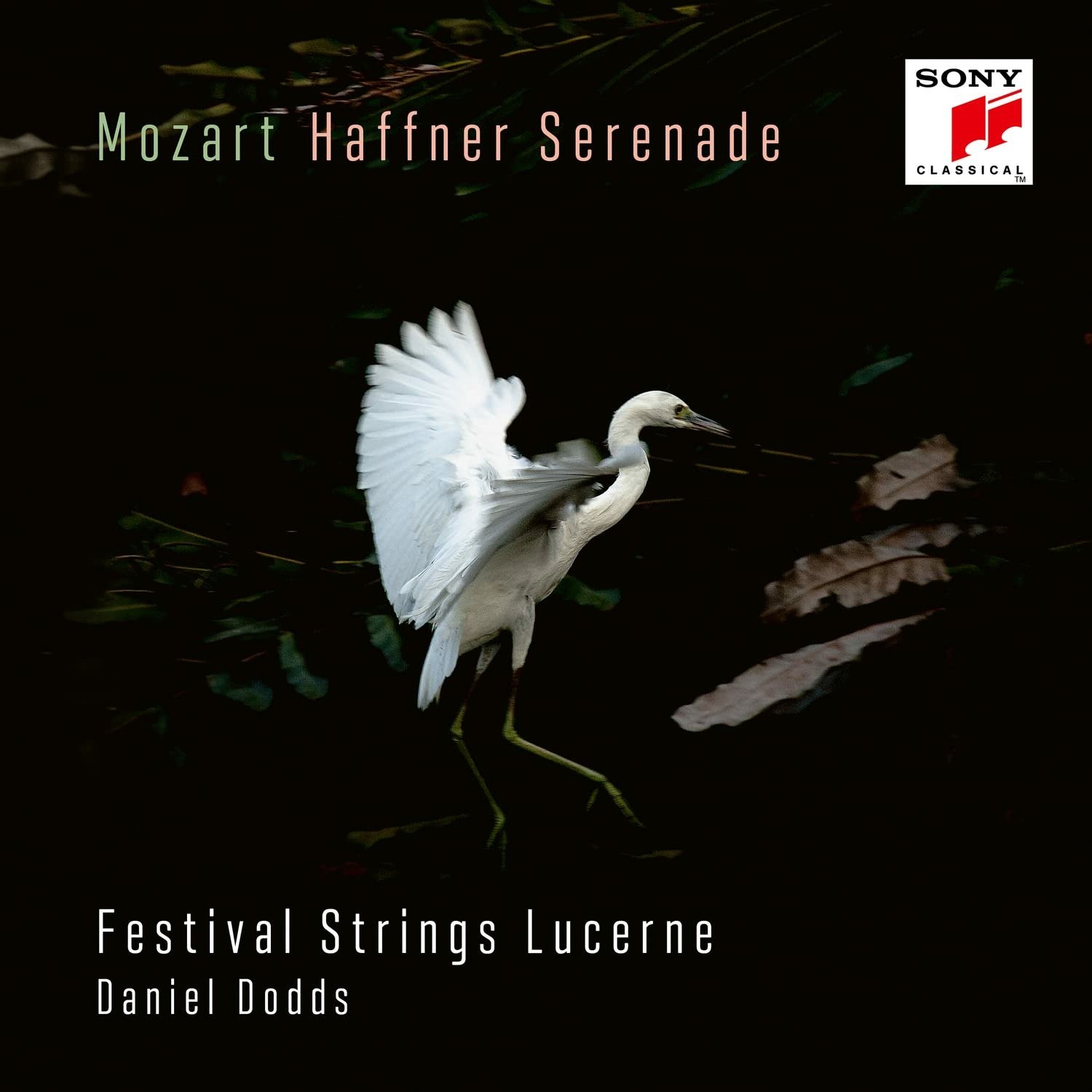 Festival Strings Lucerne - Mozart: Haffner-Serenade Kv 250 & Marsch Kv 249, CD
