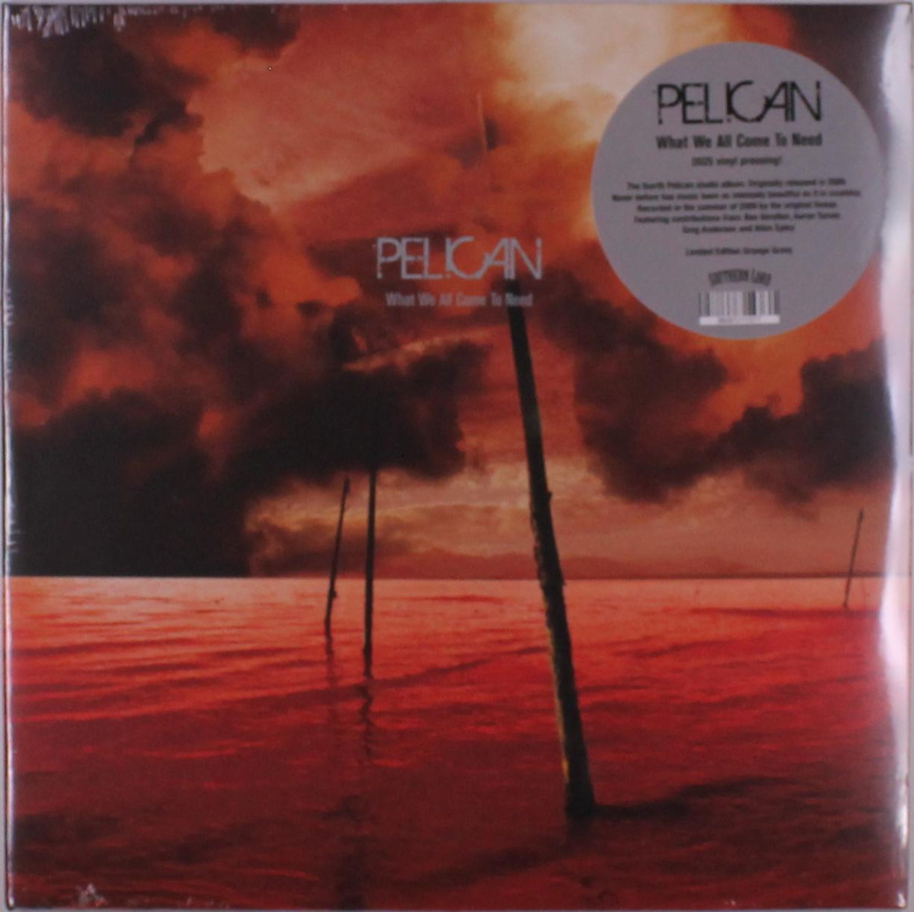 E-shop Pelican - What We All Come to Need 2 LP