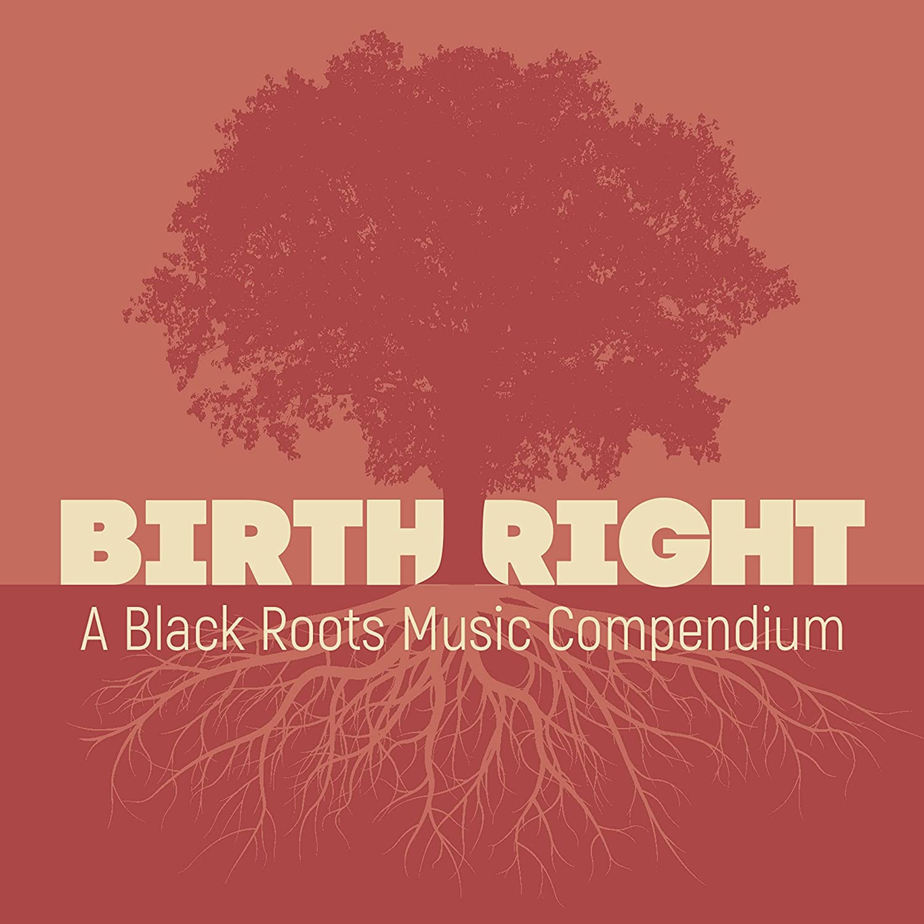 E-shop BIRTHRIGHT: A BLACK ROOTS MUSIC COMPENDIUM
