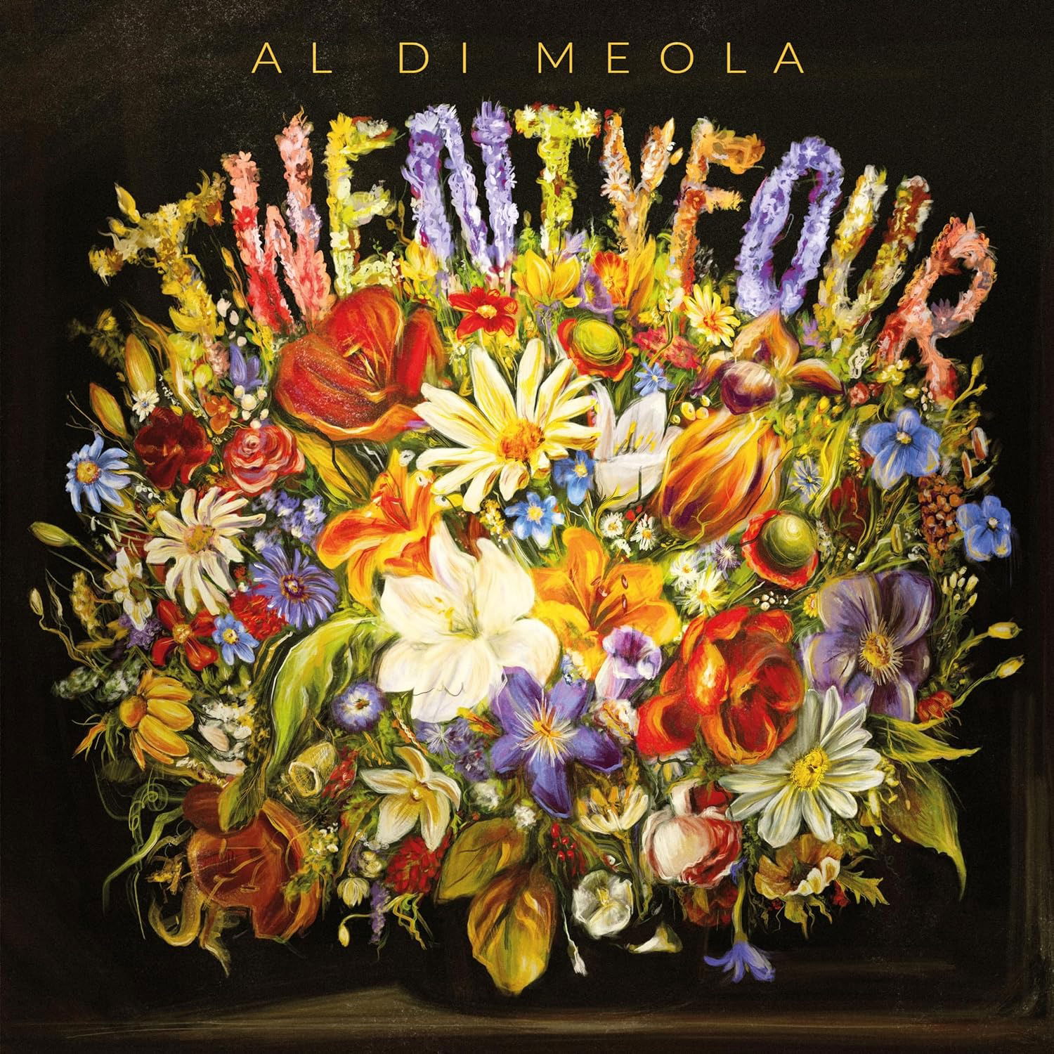 E-shop AL DI MEOLA - TWENTYFOUR