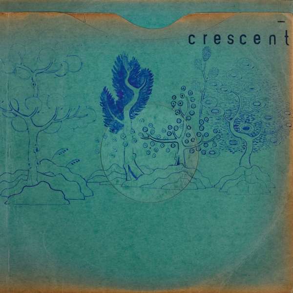 CRESCENT - RESIN POCKETS, Vinyl