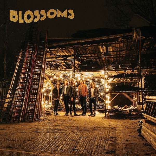 BLOSSOMS - BLOSSOMS, Vinyl