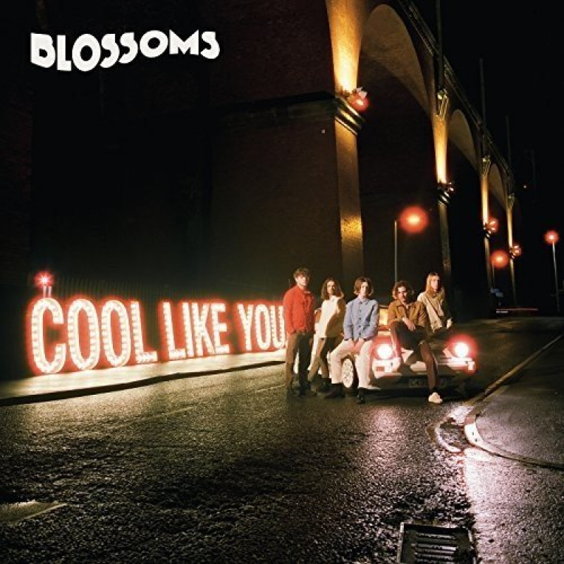 BLOSSOMS - COOL LIKE YOU, Vinyl