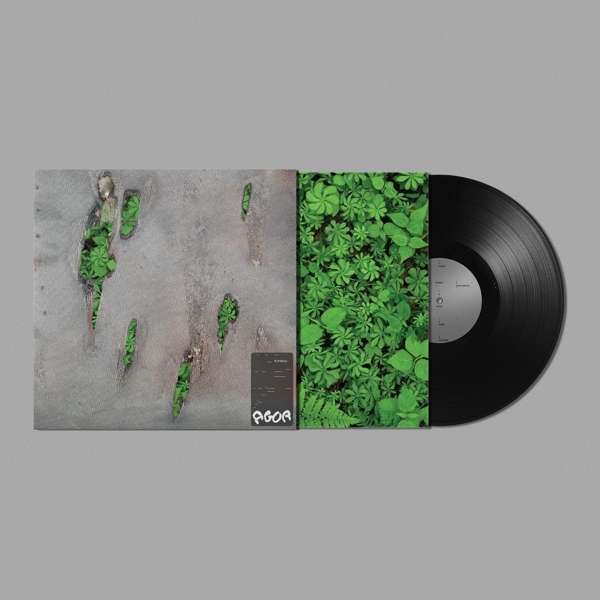 E-shop KORELESS - Agor LP