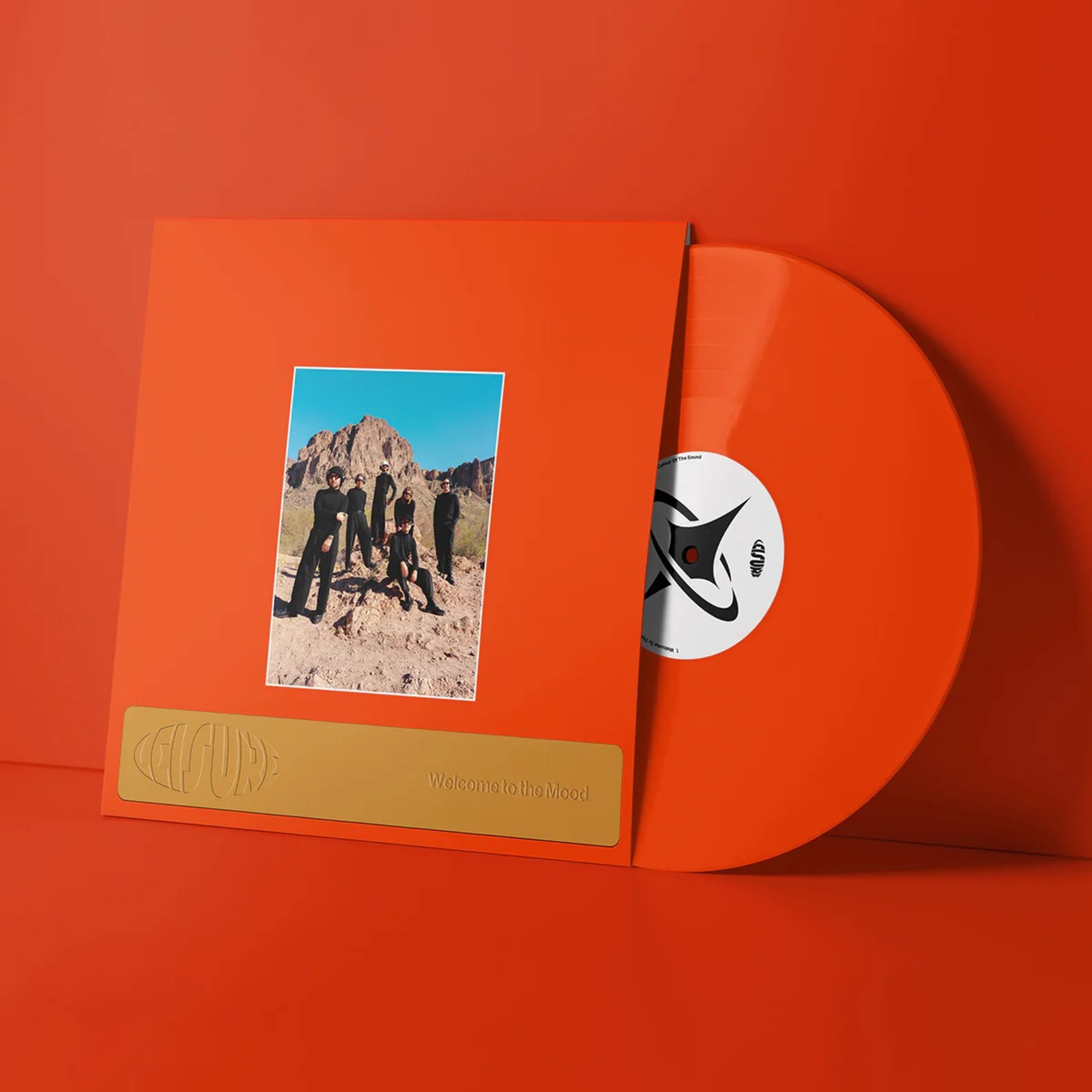 E-shop Various: Welcome To The Mood LP