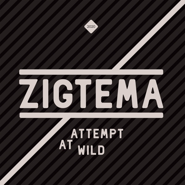 ZIGTEMA - ATTEMPT AT WILD, CD