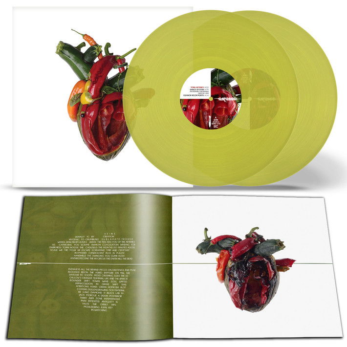 E-shop Carcass - Torn Arteries (Transparent Yellow Colouerd) (2 LP)