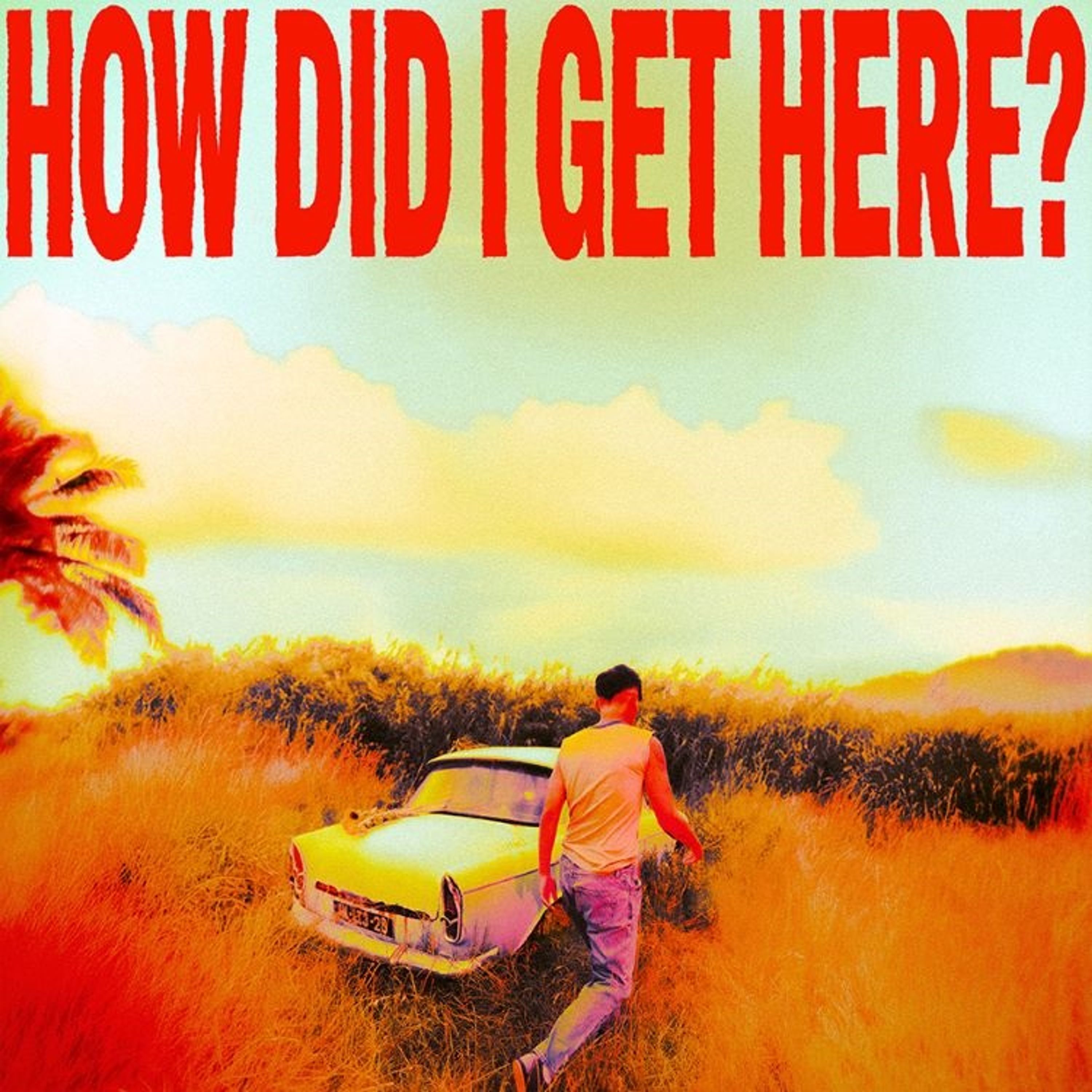 E-shop Tomlinson Louis: How Did I Get Here? Vinyl LP