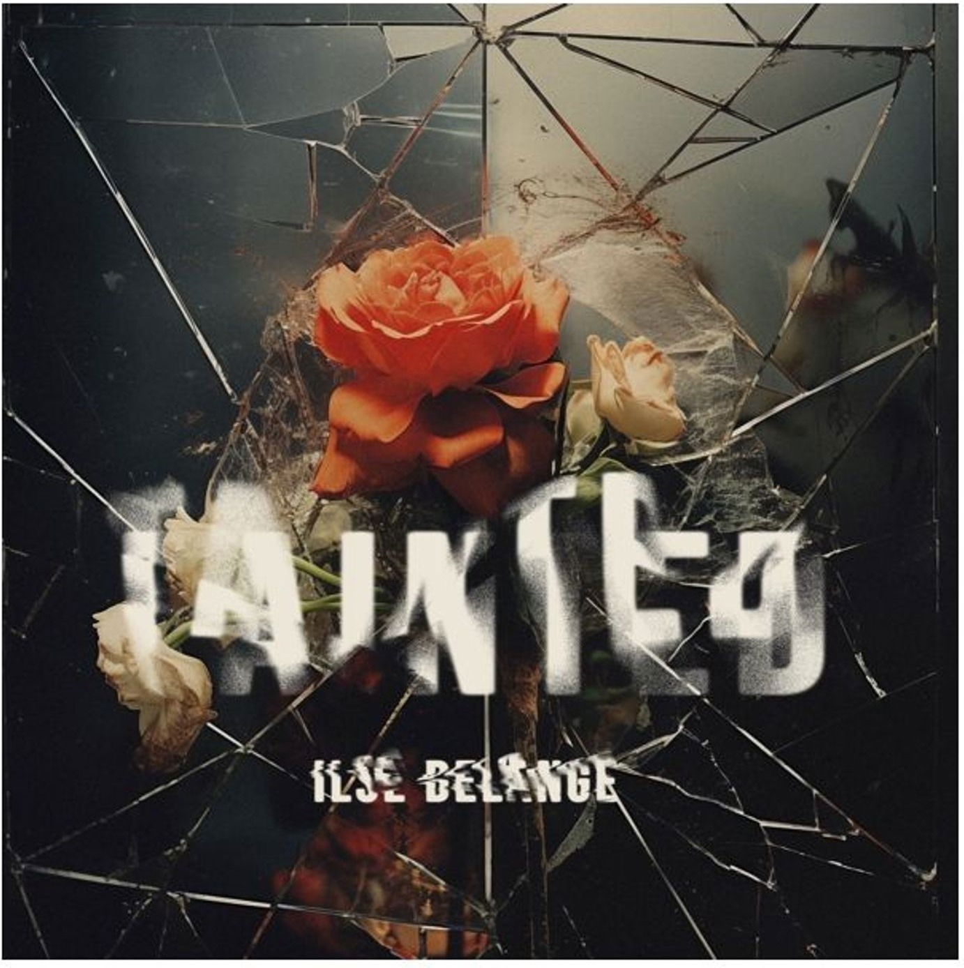 E-shop DELANGE, ILSE - TAINTED CD