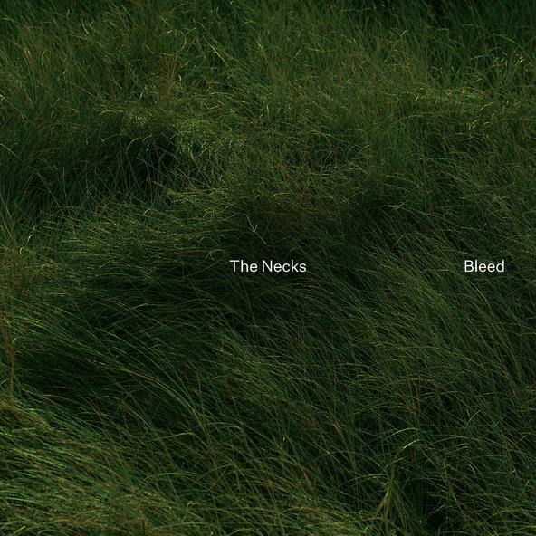E-shop Bleed The Necks CD