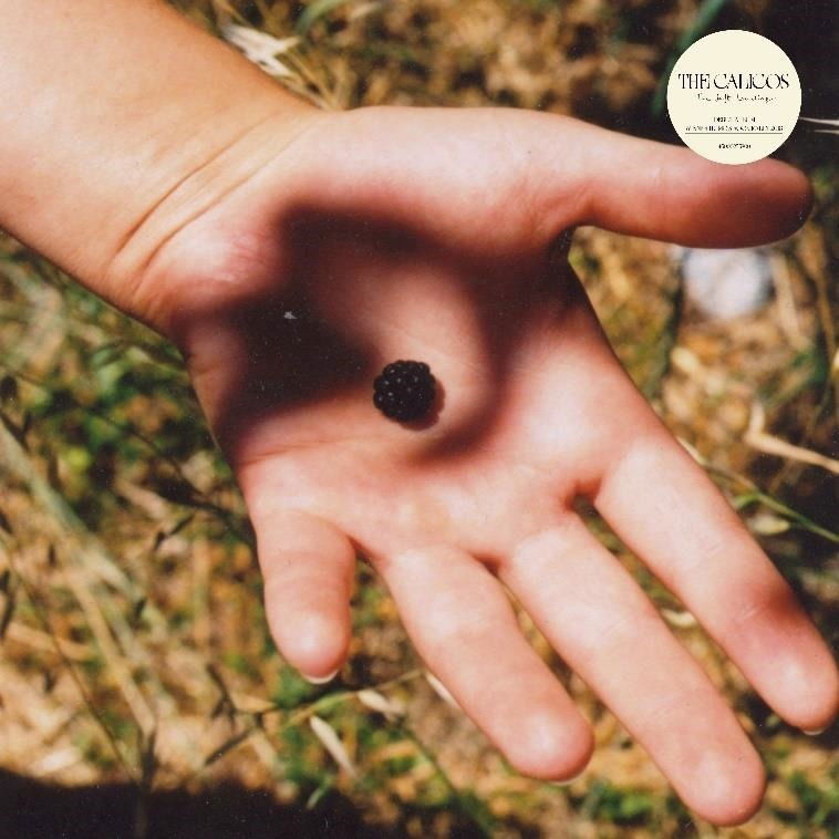 E-shop CALICOS - SOFT LANDING LP