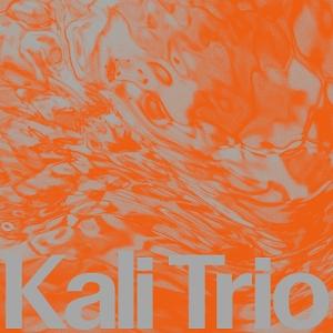 E-shop Kali Trio The Playful Abstract 1 LP