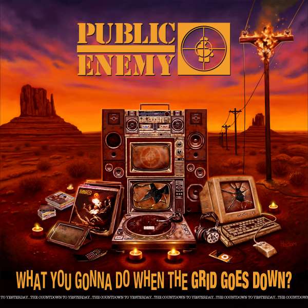 Public Enemy, WHAT YOU GONNA DO WHEN THE, CD