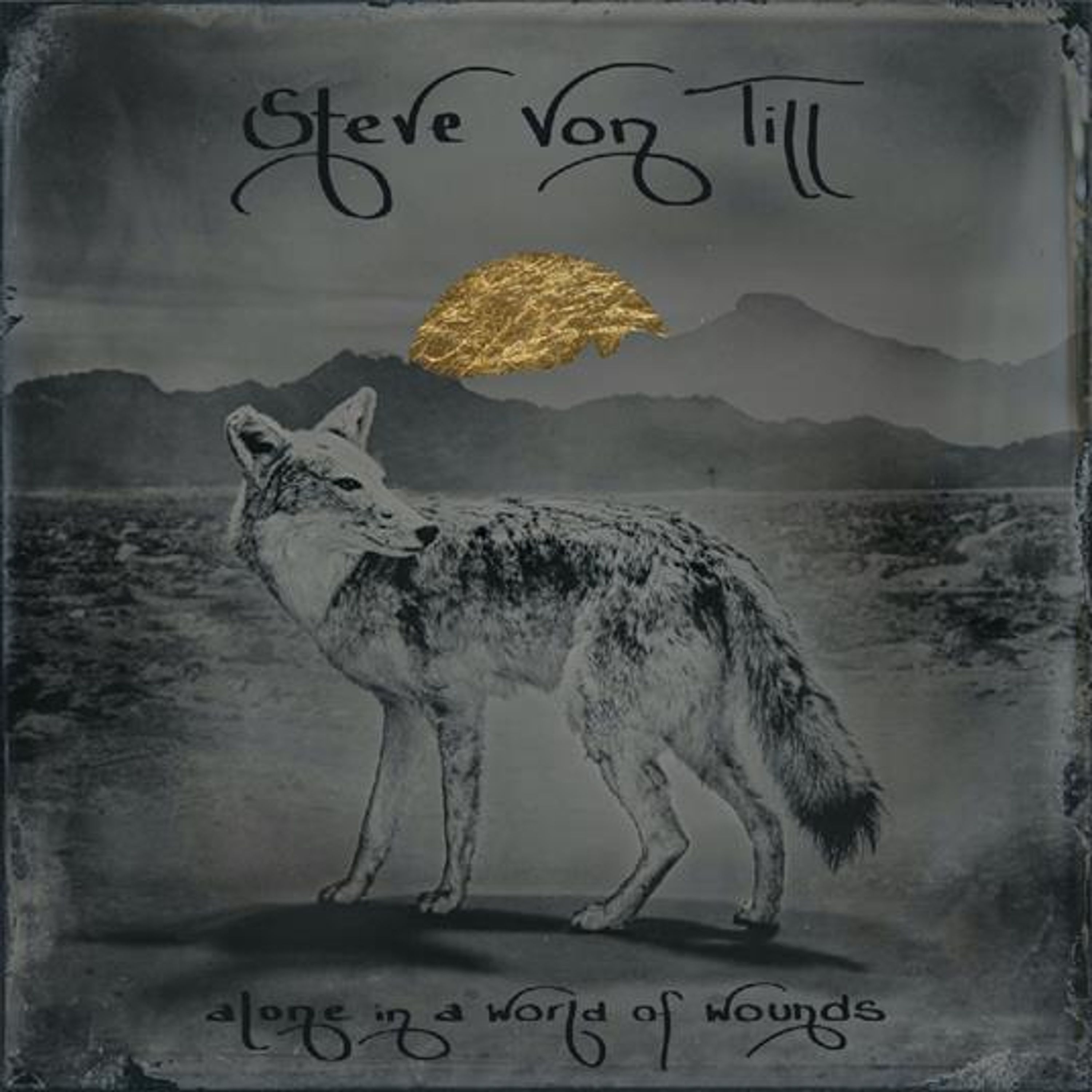 E-shop Steve Von Till: Alone In A World Of Wounds CD
