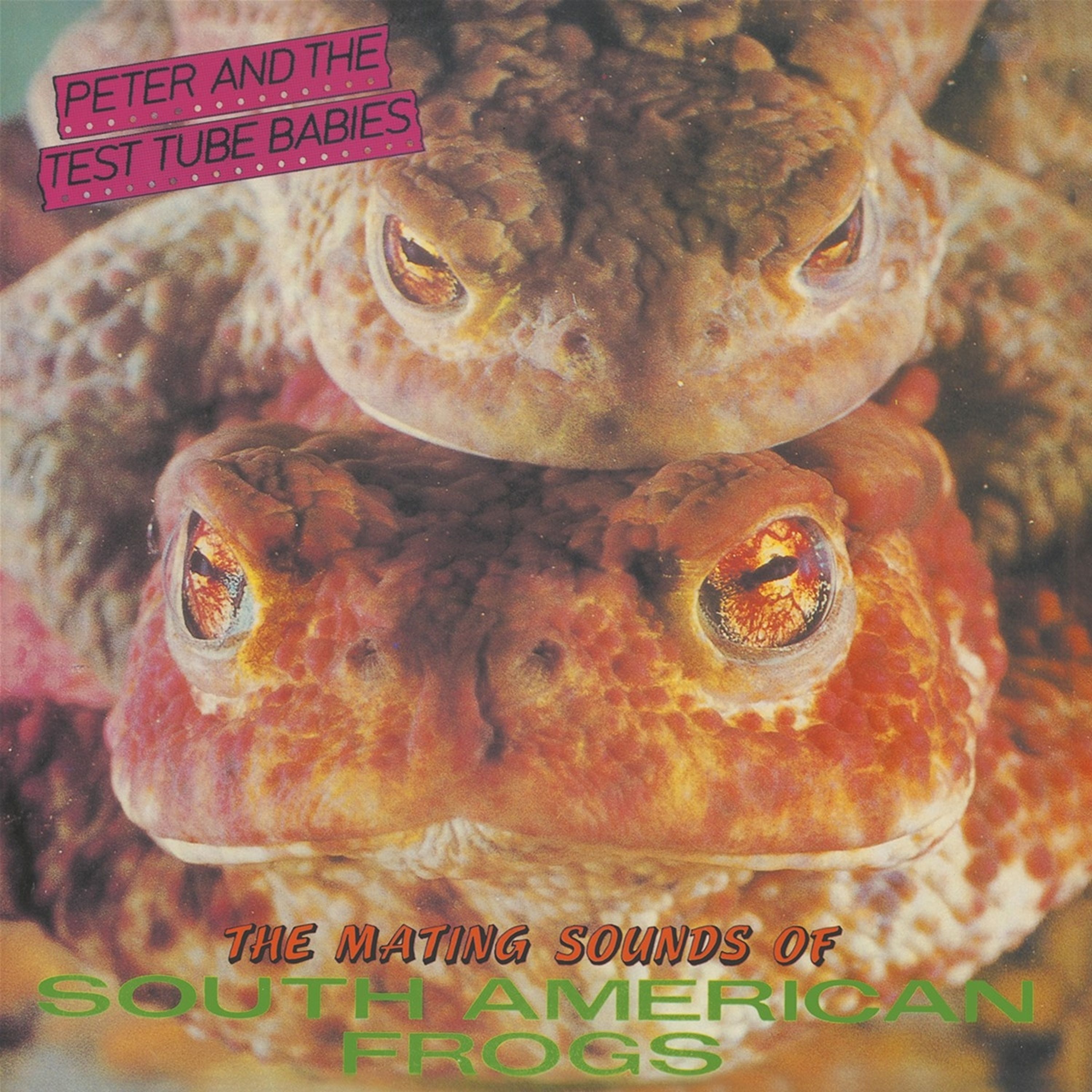 E-shop THE MATING SOUNDS OF SOUTH AMERICAN FROGS