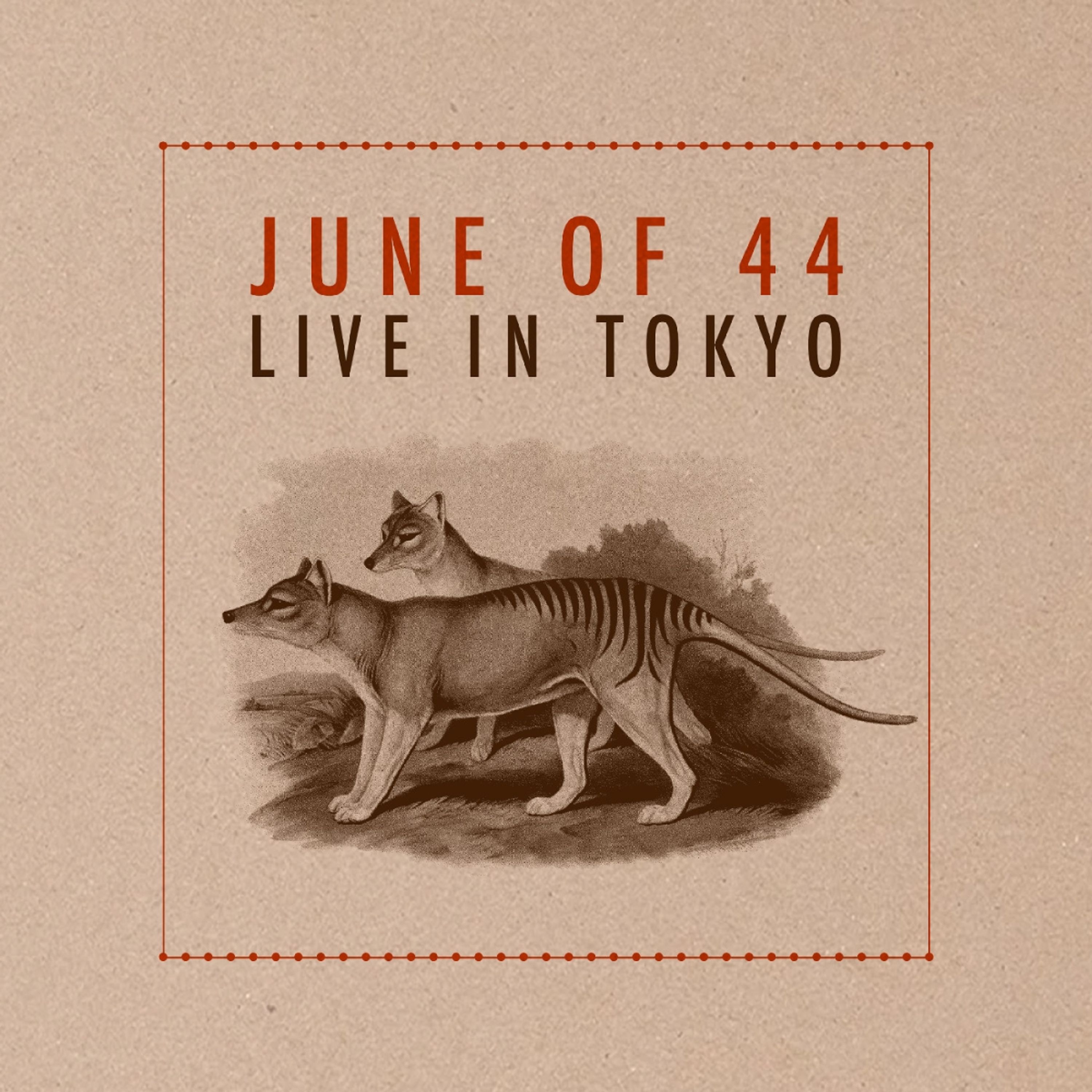 E-shop LIVE IN TOKYO