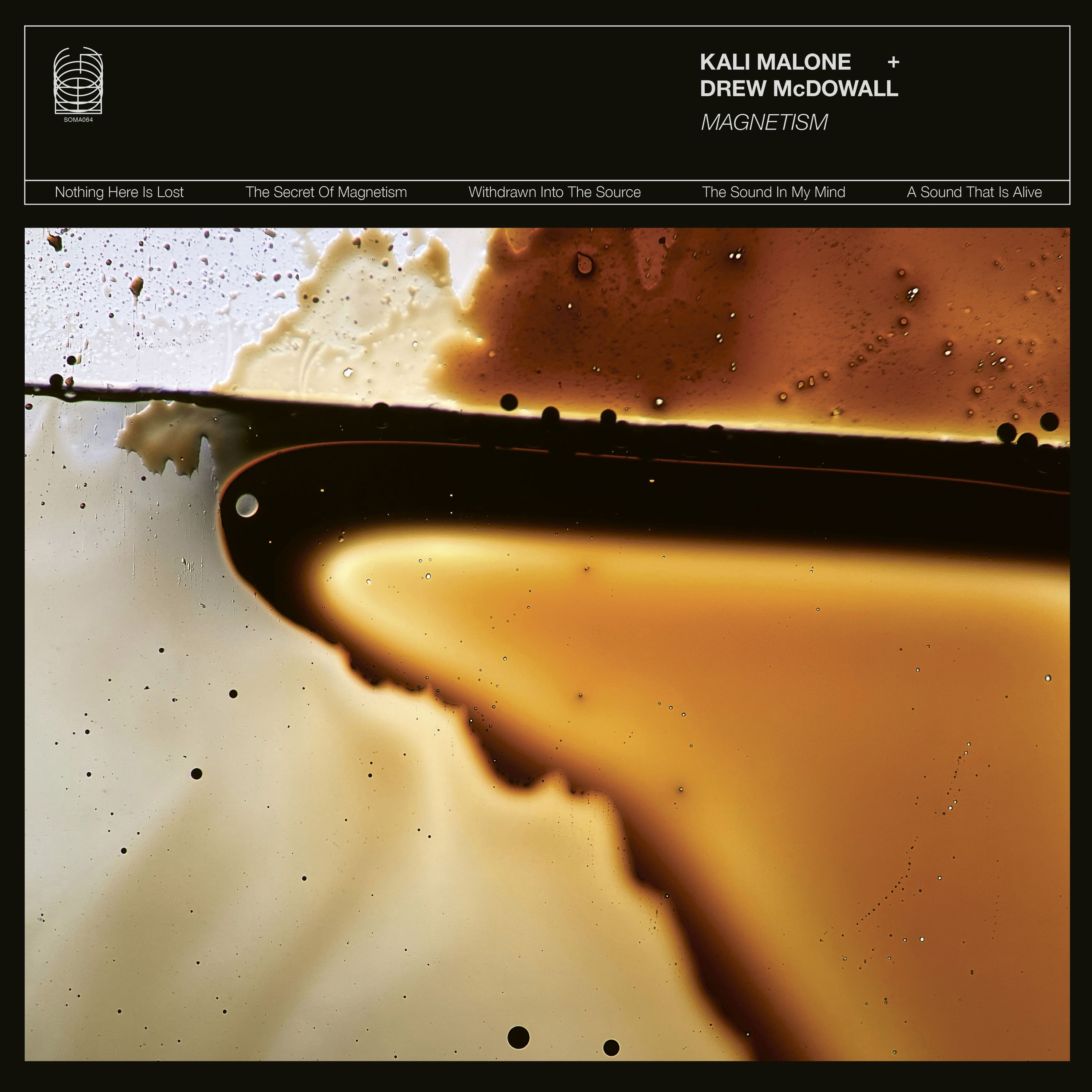 E-shop Kali Malone & Drew Mowall - Magnetism LP