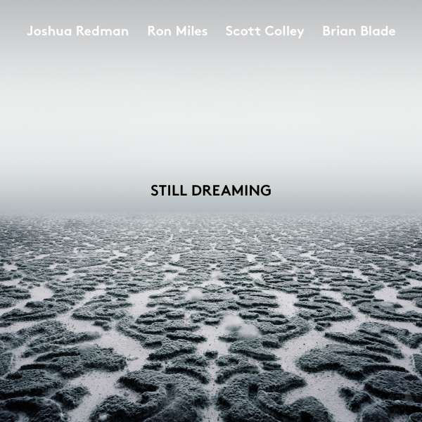 E-shop REDMAN, JOSHUA - STILL DREAMING CD