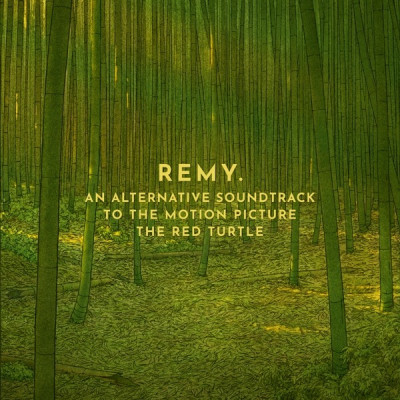 KESTEREN, REMY VAN - RED TURTLE, CD