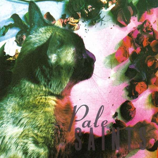 E-shop PALE SAINTS - COMFORTS OF MADNESS LP