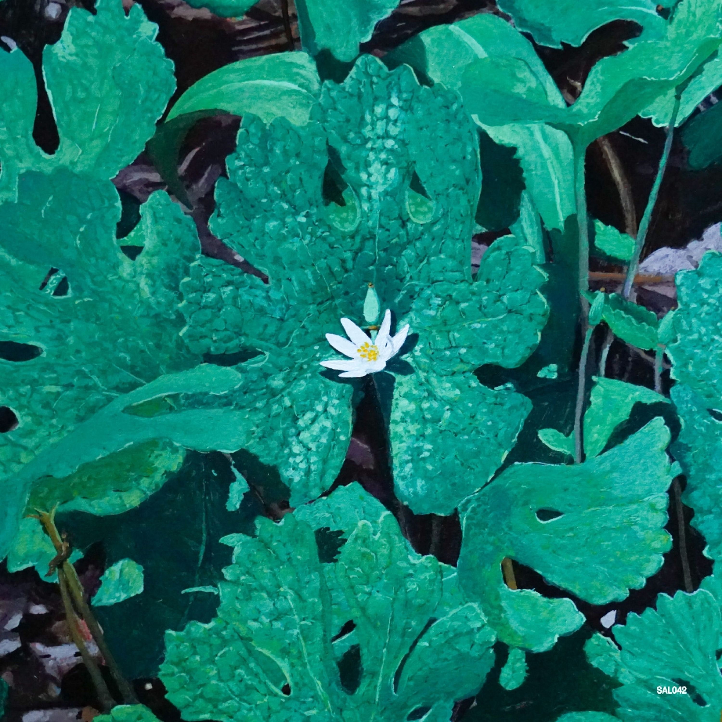 E-shop Early Fern - Early Fern - Wetland Interiors LP