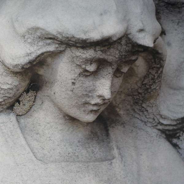 E-shop Shepherds & Angels - Iroha LP