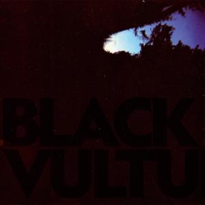 NORGREN, DANIEL - BLACK VULTURES, Vinyl