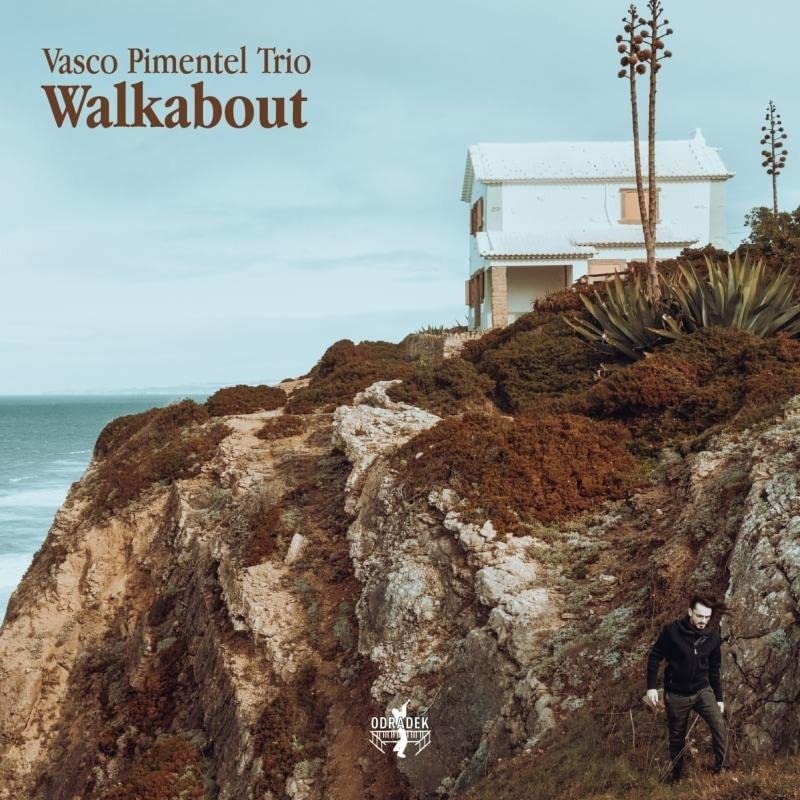 PIMENTEL, VASCO -TRIO- - WALKABOUT, CD