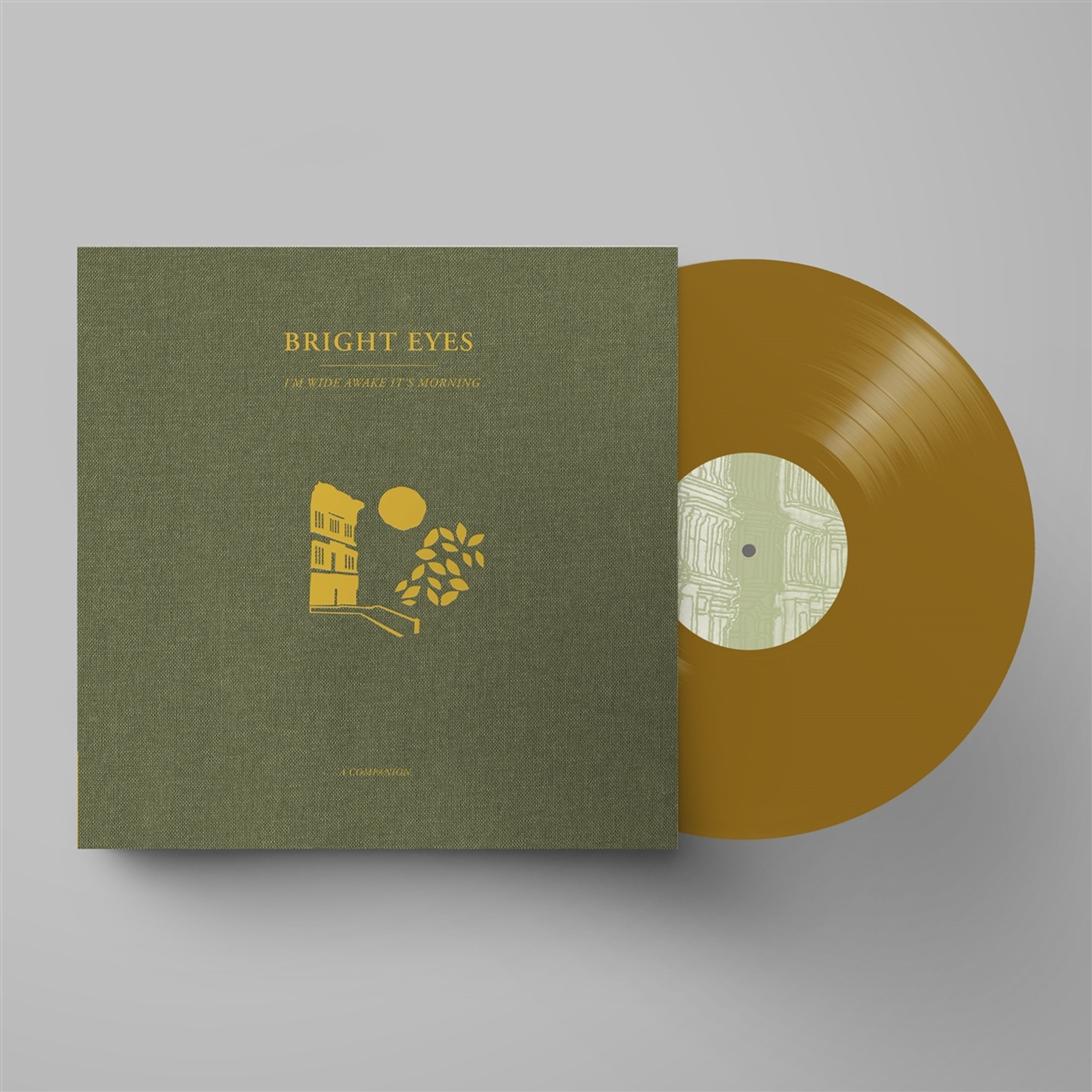E-shop I'M WIDE AWAKE, IT'S MORNING: A COMPANION (OPAQUE