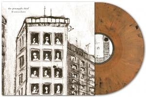 E-shop Pineapple Thief - 10 Stories Down Marbled Vinyl LP
