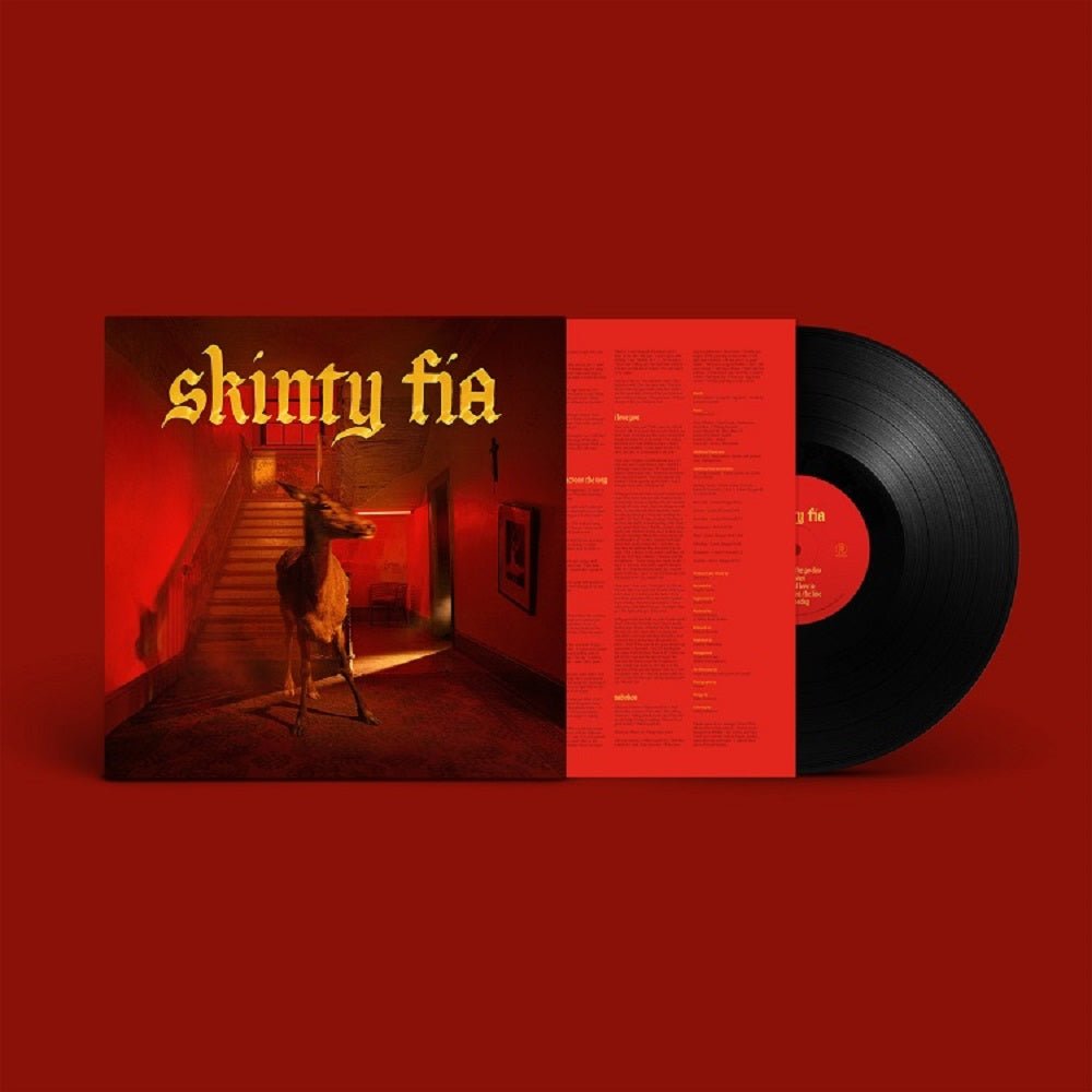 FONTAINES D.C. - SKINTY FIA, Vinyl
